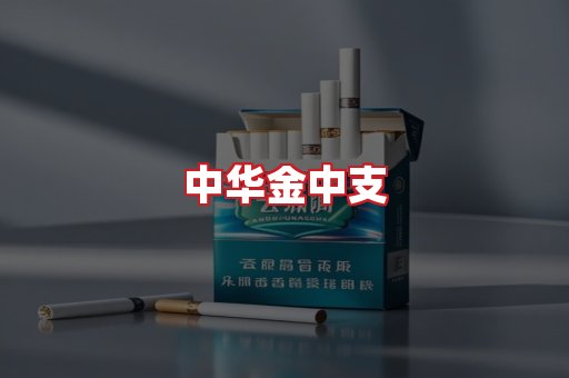 中华金中支