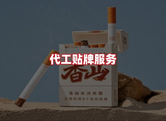 专业团队